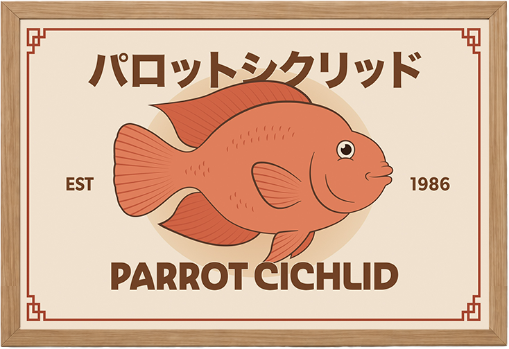 Parrot Cichlid